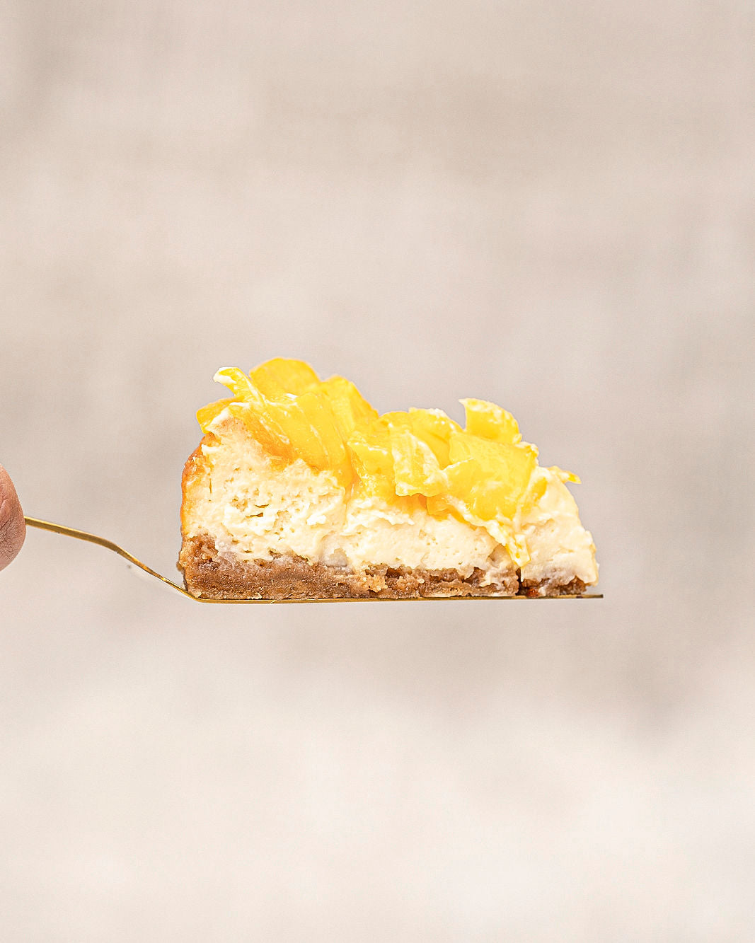 Cheesecake de Mango