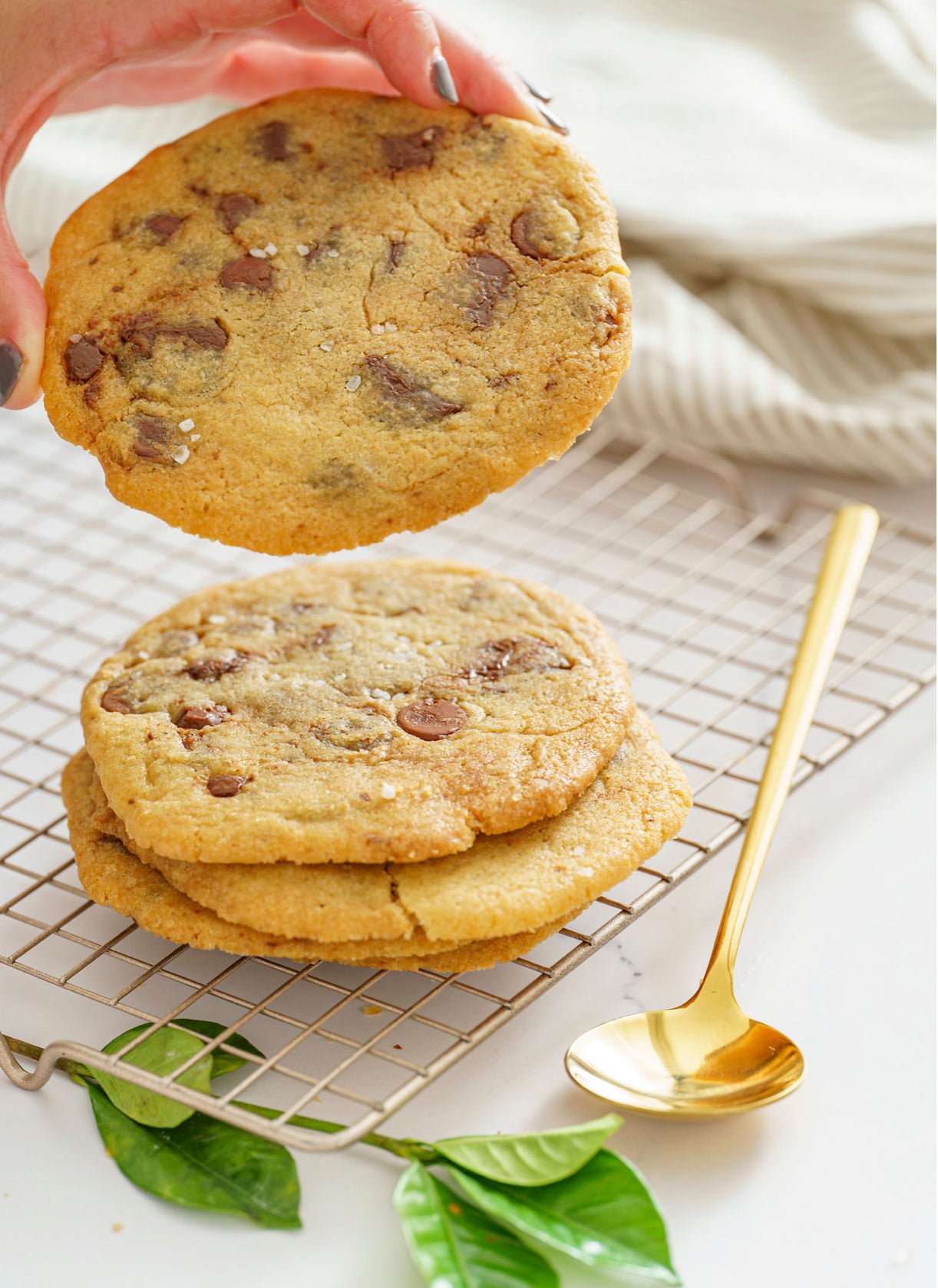 Brown butter chocolate chip cookies