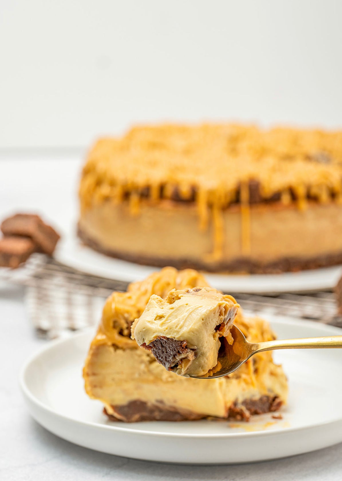 Cheesecake de Lúcuma con Brownie